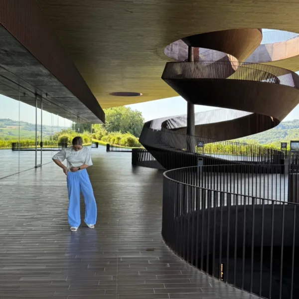 Visiting Antinori nel Chianti Classico: The birthplace of Tignanello 🍷