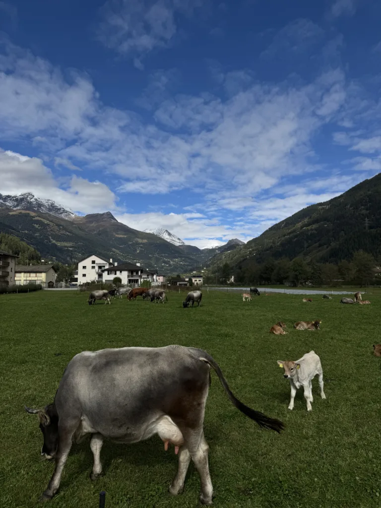 le prese switzerland