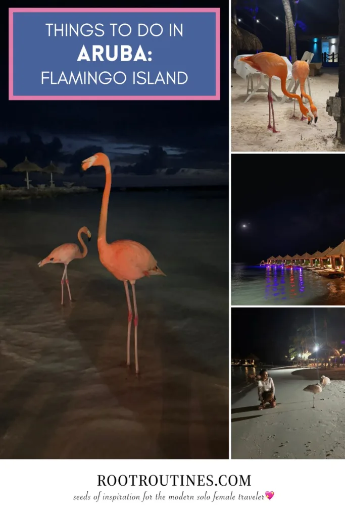 things to do in aruba flamingo island