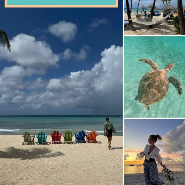 10 Best Beaches in Aruba (with pictures)